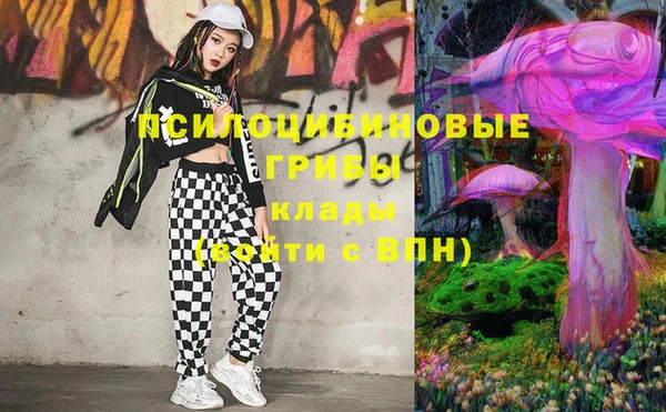 СК Верхний Тагил