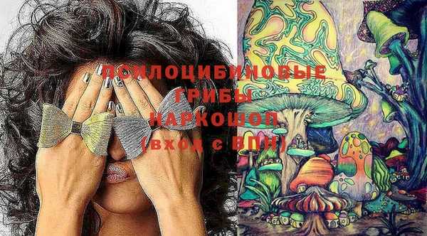 СК Верхний Тагил